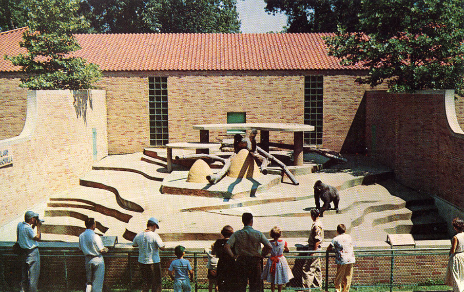 Les Zoos dans le Monde Bronx Zoo — free download