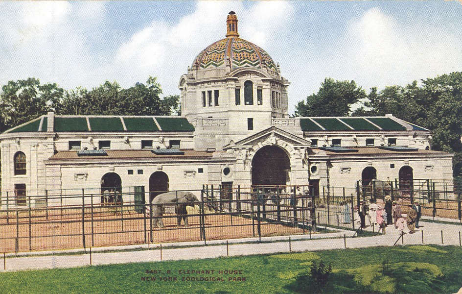 Les Zoos dans le Monde Bronx Zoo — free download