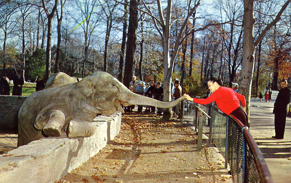 Les Zoos dans le Monde Bronx Zoo — free download