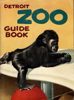 Guide 1956