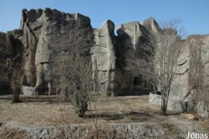 Une des six fosses entourant le bâtiment des fauves