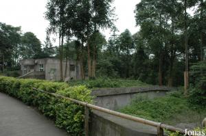 Enclos du White bear ground