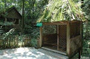 Cage du vautour moine