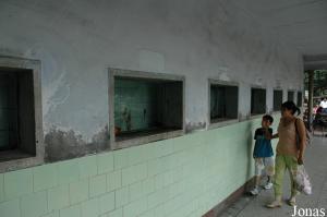 Aquariums extérieurs