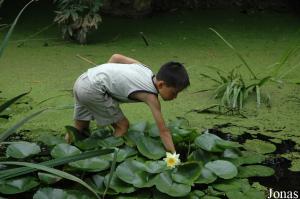 Enfant au nénuphar