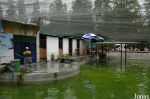 Bassin des otaries et des phoques