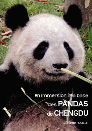 <strong>En immersion à la base des pandas de Chengdu</strong>, Jérôme Pouille, 2018, tirage décembre 2019 V2