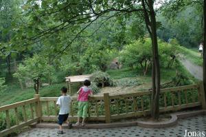 Un des enclos pour petits pandas