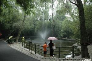 Point d'eau situé le long d'une des allées du parc