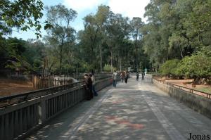 Allée bordée par les enclos des herbivores