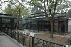 Cages des primates