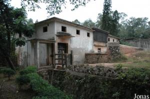 Bâtiment des éléphants asiatiques vu de l'arrière et second enclos