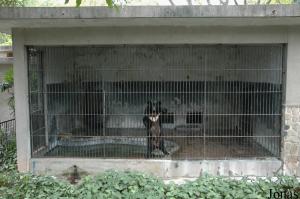 Une des cages des ours à collier