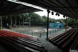 Arène de spectacles de crocodiles