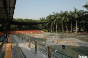 Arène de spectacles de crocodiles