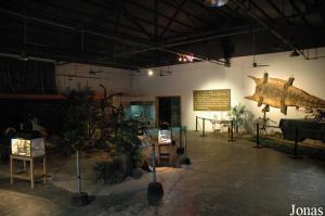 Salle principale du reptilarium