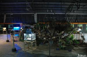 Salle principale du reptilarium