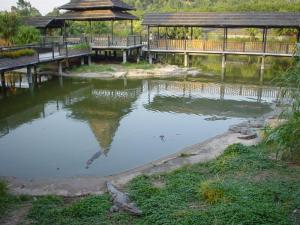 Installation des crocodiles