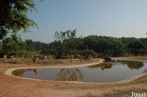 Zone des plateaux d'Afrique du Sud