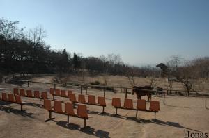 Arène pour les tours à dos de cheval