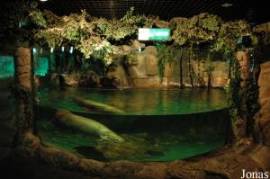 Freshwater Creatures Hall