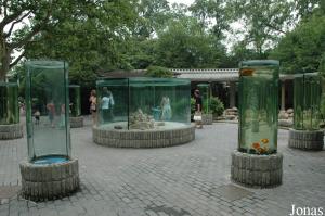 Goldfish corridor