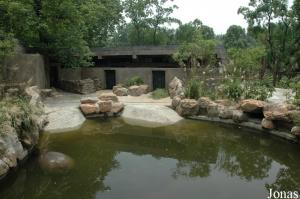 Nouvelle installation des hippopotames amphibies