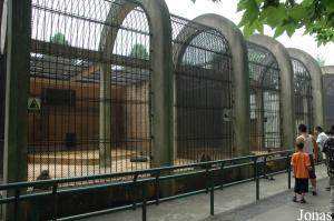 Cage des macaques du Tibet