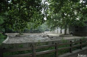 Ancienne installation des rhinocéros blancs