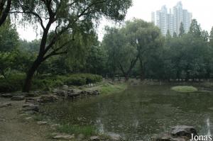 Heping Park