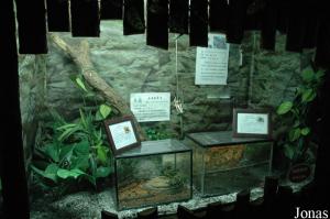 Insectarium