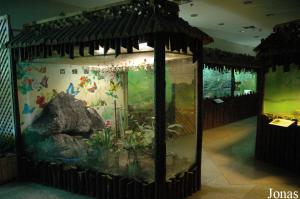 Insectarium