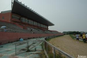 Cynodrome pour courses de chiens et de chameaux