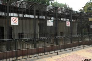 Cages des fauves