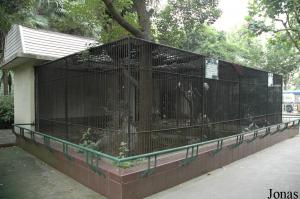 Volières pour bihoreaux, hérons garde-boeufs et pigeons