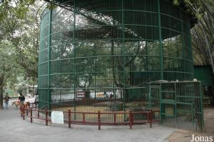 Cage des macaques à queue de cochon