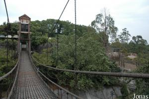 Passerelle rejoignant la montagne des macaques