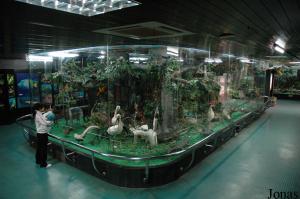 Musée d'histoire naturelle