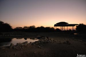 Couleurs du soir sur l'enclos des herbivores africains