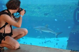 Première visite d'un espace zoologique en tenue de bain