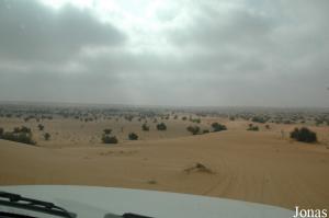 Dubai Desert Conservation Reserve