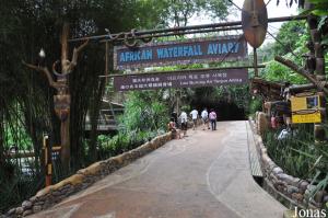 African Waterfall Aviary