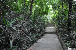 African Waterfall Aviary