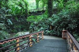 African Waterfall Aviary