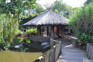 African Wetlands, installation sur les marais africains