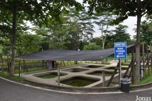 Bassins d'élevage