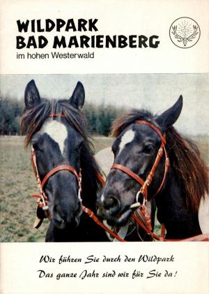 Guide 1969