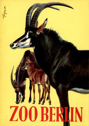 Guide 1970 - 13. Auflage<br>Tierverzeichnis à l'avant