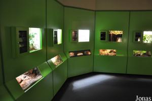 Insectarium