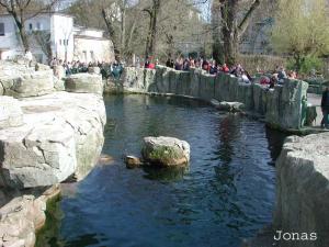 Bassin des otaries